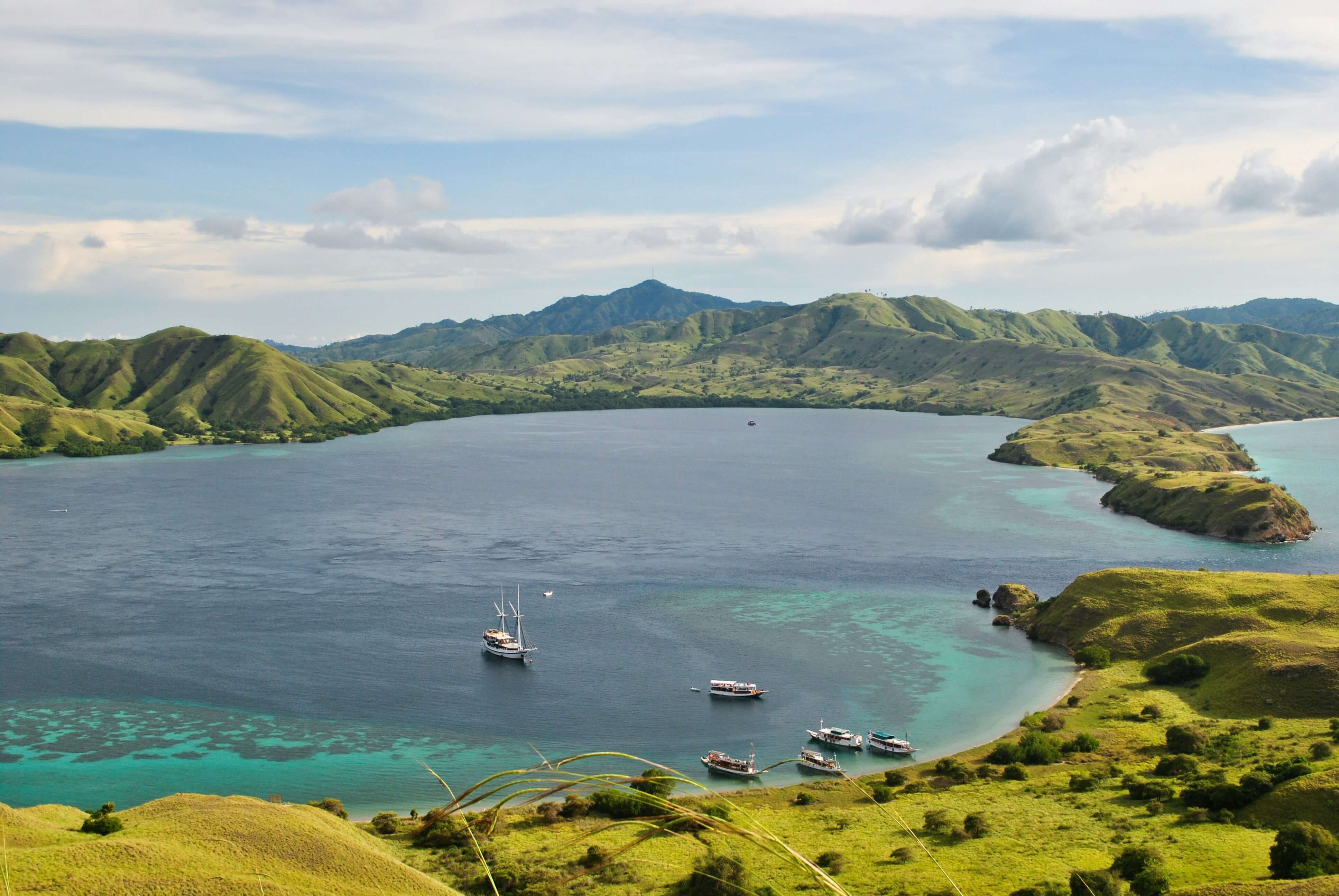 Reef conservation – funded by every BluePass booking